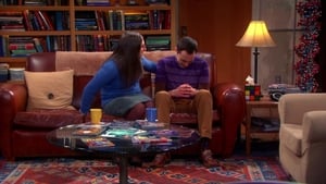 The Big Bang Theory Temporada 6 Capitulo 14