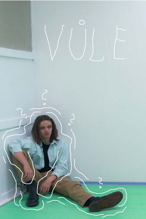 Vůle