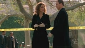 CSI: NY: Stagione 2 x Episodio 15