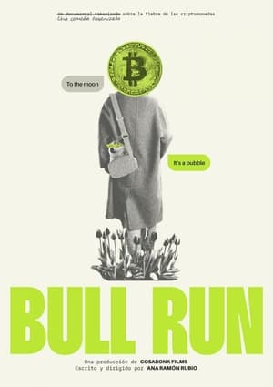 Image Bull Run