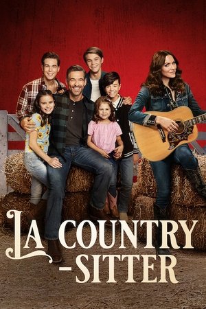 La country-sitter movie poster