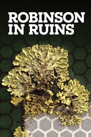 Robinson in Ruins (2010)