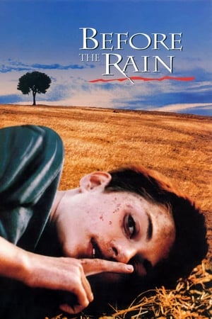 Before the Rain poster