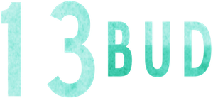 13 Commandments — Logos 9