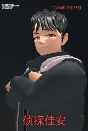 侦探佳安 (2023)