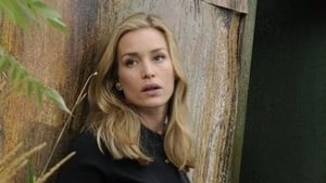 Covert Affairs: 2×12