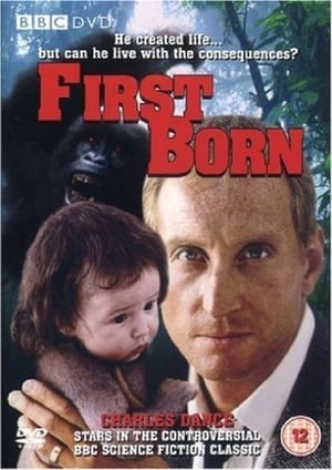 Poster First Born 1988