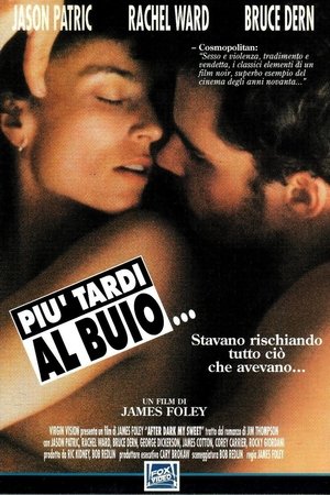 Più tardi al buio 1990