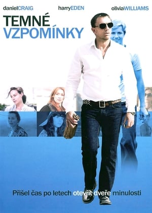 Poster Temné vzpomínky 2008