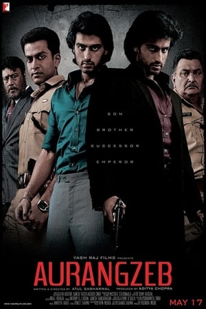 Poster Aurangzeb 2013