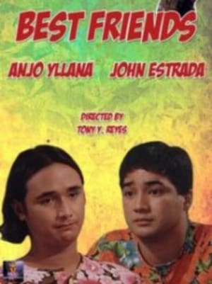 Poster Best Friends 1995