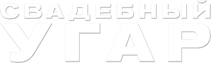 Mike y Dave buscan rollo serio — Logos 4