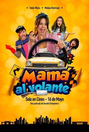 Image Mamá al volante