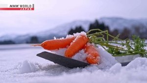 Journeys in Japan: 16×9