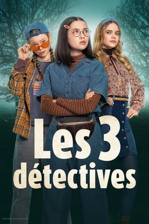 Les 3 détectives movie poster