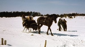 Kamouraska film complet