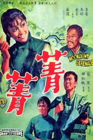 Poster 菁菁 1967