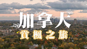 Episode 121
