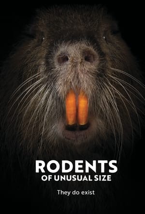 Poster Rodents of Unusual Size (2017)