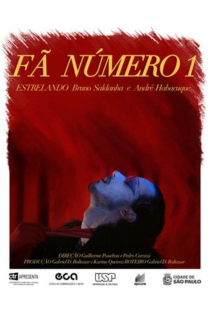 Fã Número 1