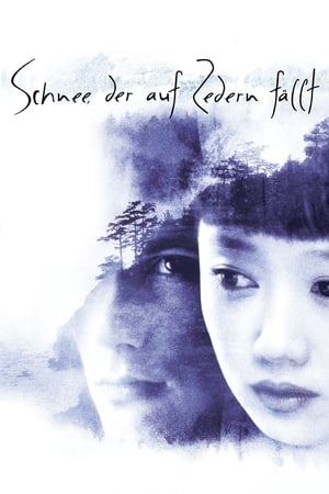 Poster Schnee, der auf Zedern fällt 1999