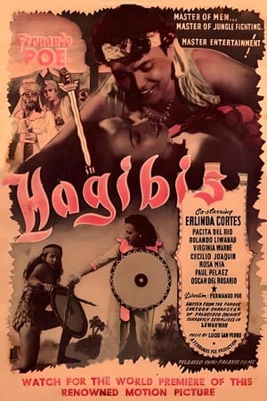 Image Hagibis