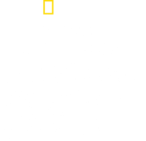 When Sharks Attack 360 — Logos 8