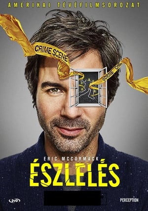 Poster Észlelés 2. évad Vakság 2013