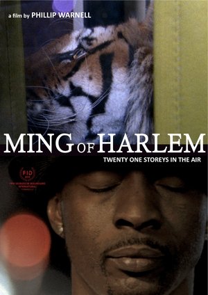 Image Ming of Harlem: Twenty One Storeys in the Air