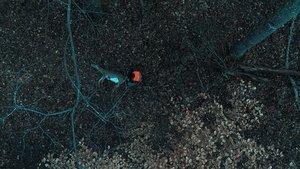 Ozark Season 2 Episode 3 Free Download - FlexyFim