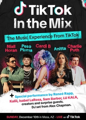 TikTok: In the Mix (2023) | Team Personality Map
