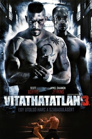 Poster Vitathatatlan 3. 2010