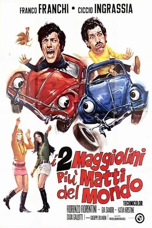 Poster I due maggiolini più matti del mondo 1970