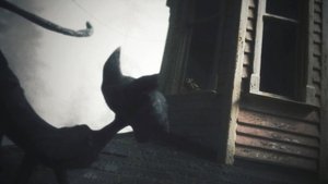 Images posters