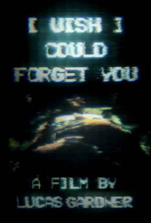 I Wish I Could Forget You