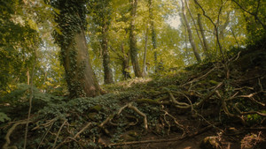Fernherrlichkeit 2