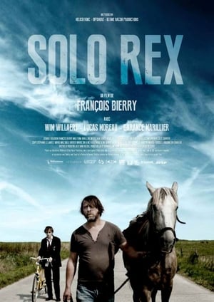 Solo Rex poster