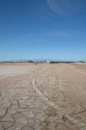 Desert Shores