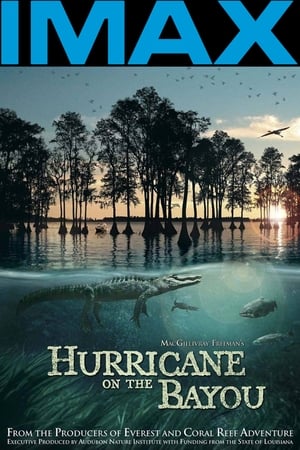 Poster Hurricane on the Bayou 2006