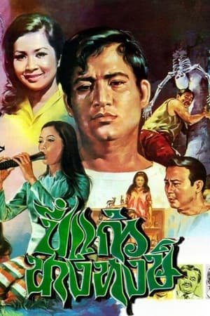 Poster Pi Kaew Nang Hong (1970)
