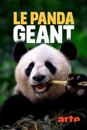 Poster The Giant Panda (2020)
