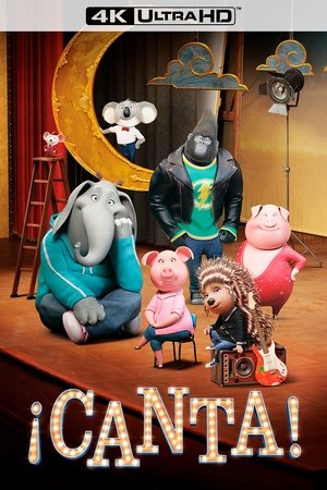 poster Sing