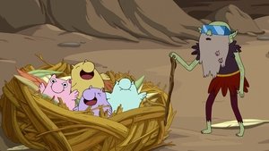 Adventure Time – Abenteuerzeit mit Finn und Jake: 5×13