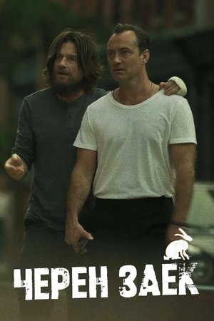 Image Черен заек