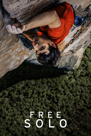 poster Free Solo