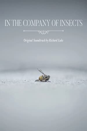 Image In the Company of Insects