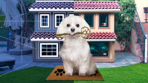 Joel McHale: The Animal House