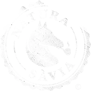 Natura sàvia — Logos 1