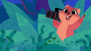 Quokka’s Wild Life