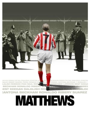 Poster Matthews (2017)